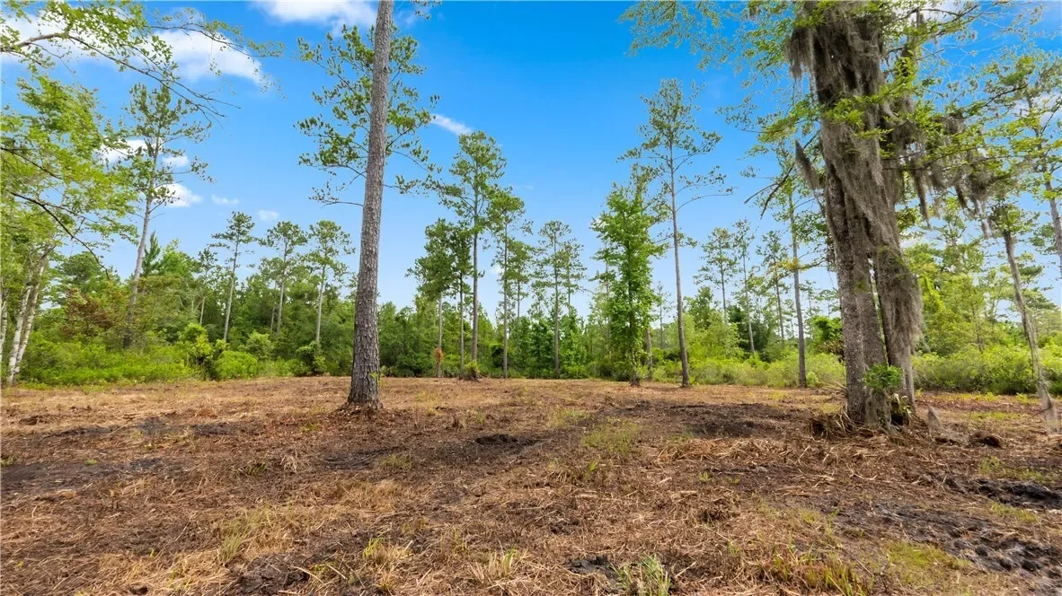1 Coastal Estates Drive, Brunswick, GA 31525, Brunswick, Georgia, United States. - Photo 10