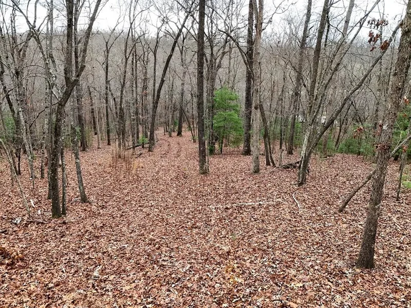 0 Dills Road, Blue Ridge, GA 30513, Blue Ridge, Georgia, United States. - Photo 13