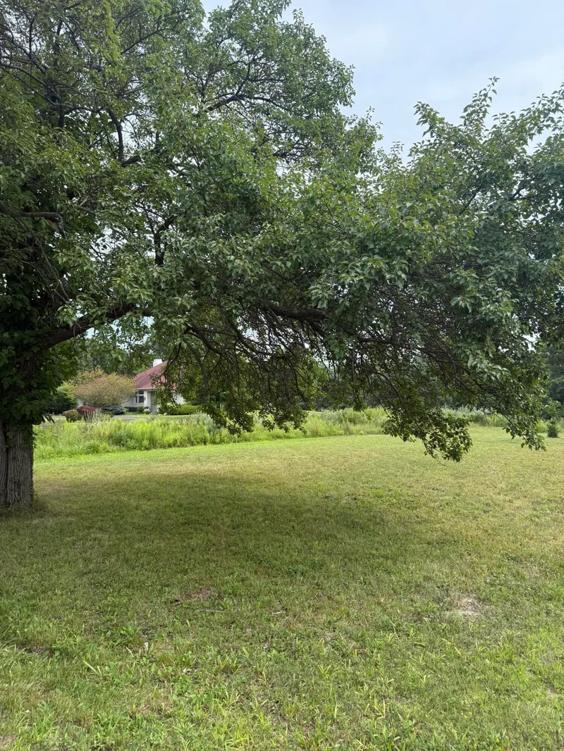 7218 Wells Street, South Haven, MI 49090, South Haven, Michigan, United States. - Photo 14