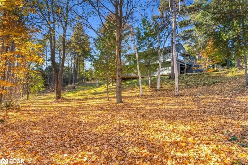 758129 2nd Line E, Mulmur, ON L9V 0G8, Honeywood, Ontario, Canada. - Photo 17