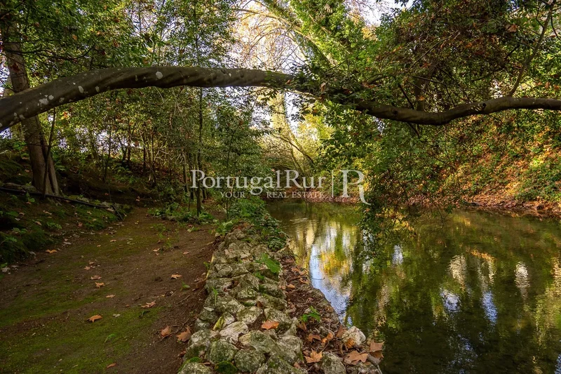 Little paradise with 4.3 hectares on the waterfront river, 1 hour from Lisbon