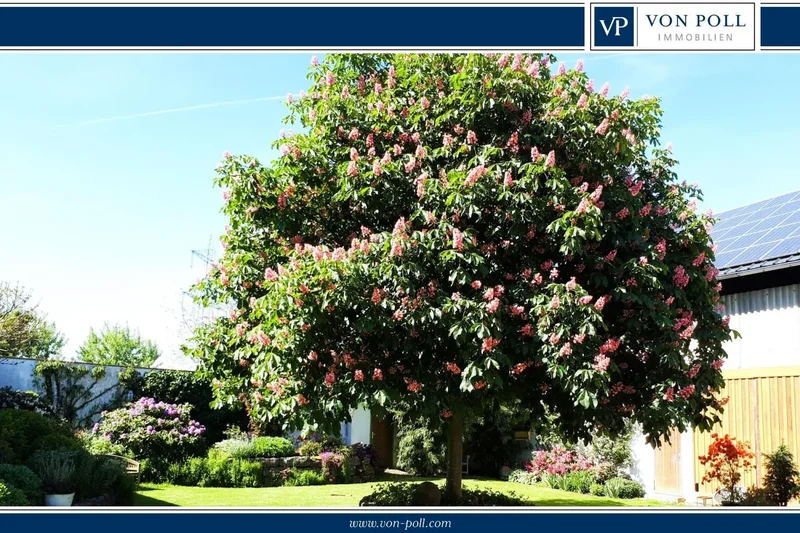 Limburg, Hessen, Germany. - Photo 12