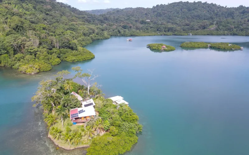 Cauchero, Bocas del Toro Province, Panama. - Photo 14