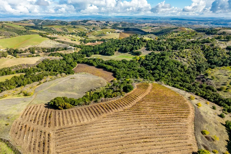 Peachy Canyon Road , Paso Robles, CA 93446, Paso Robles, California, United States. - Photo 12