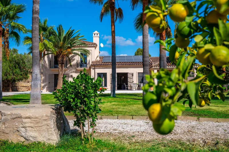 29480 Gaucín, Málaga, Spain, Gaucin, Andalusia, Spain. - Photo 17