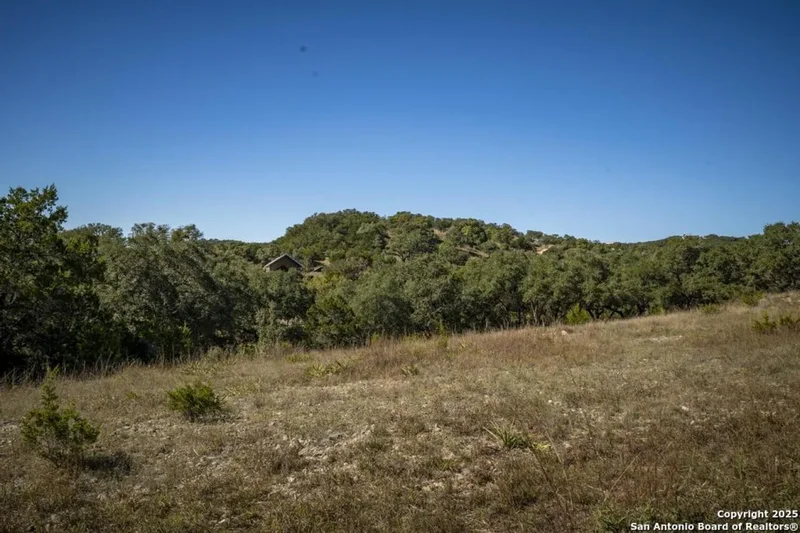 29008 Cibolo Cliff, Bulverde, Texas, United States. - Photo 29