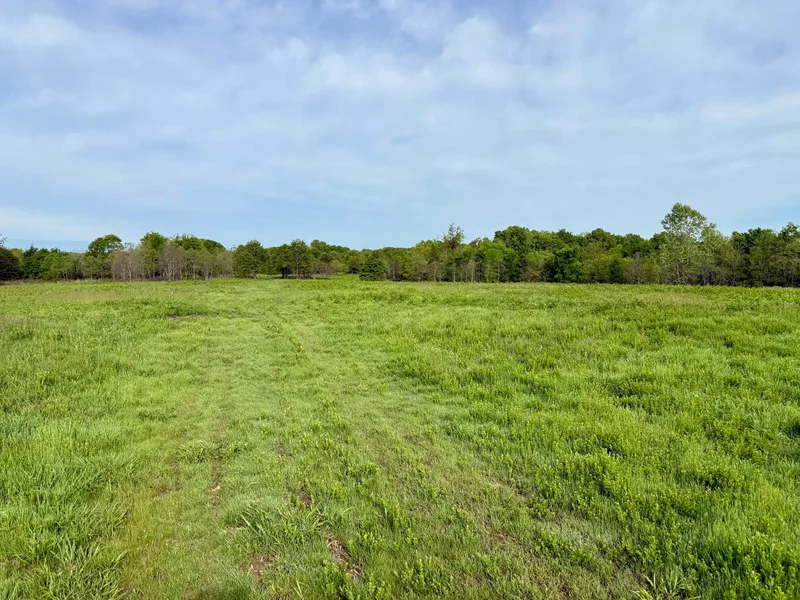 143 Horton Road, Rocky Comfort, MO 64861, Rocky Comfort, Missouri, United States. - Photo 47
