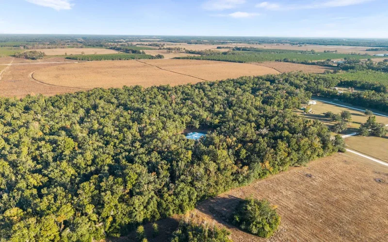 11492 217TH RD, Live Oak, Florida, United States. - Photo 49