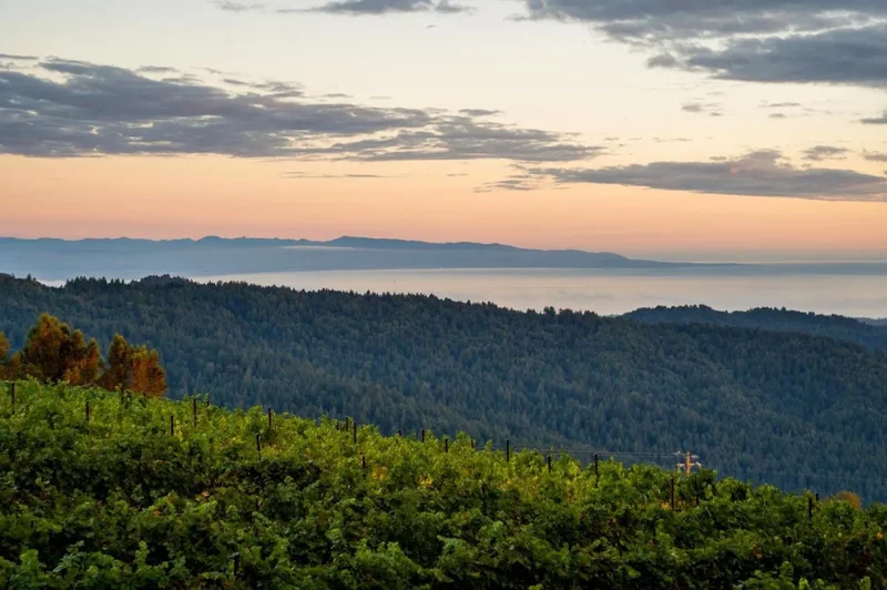 25200 Loma Prieta Avenue, Los Gatos, California, United States. - Photo 6