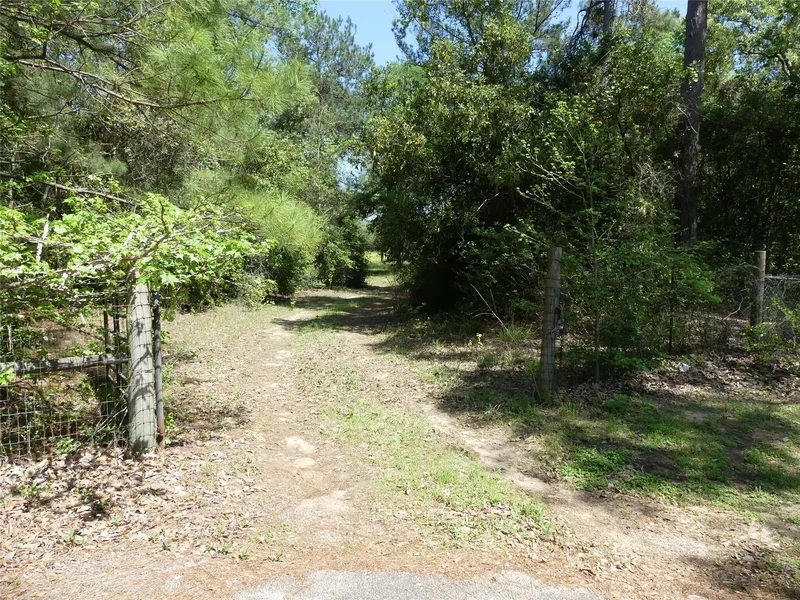 10994 Kittys Lane, Conroe, TX 77303, Conroe, Texas, United States. - Photo 23