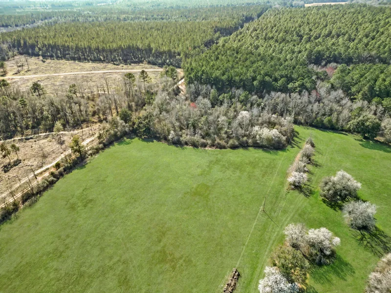 4343 East Plympton Road , Laurel Hill, FL 32567, Laurel Hill, Florida, United States. - Photo 30