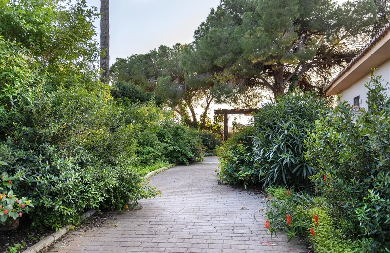 Andalusia, Elviria-Cabopino, Marbella, Spain. - Photo 13