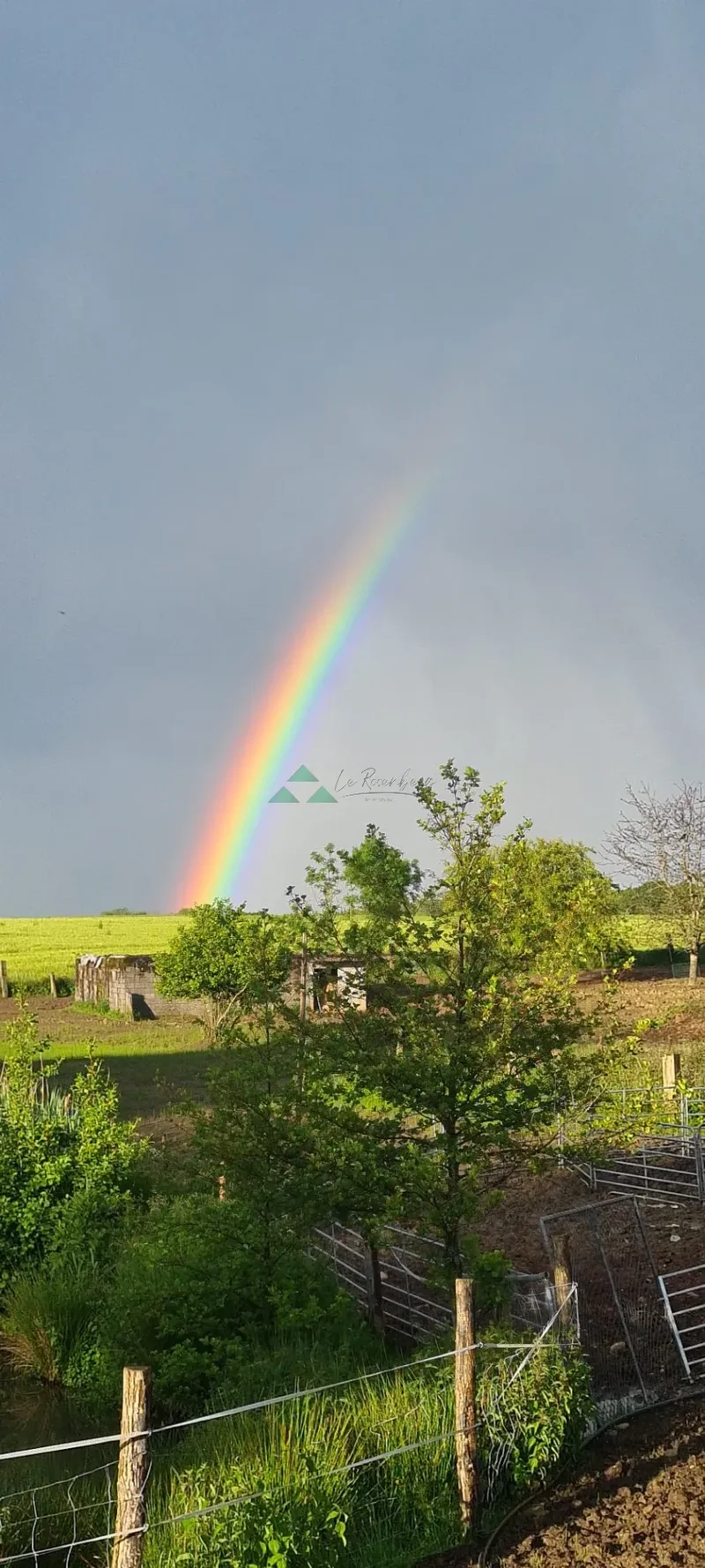 Vieux-Ferrette, Grand Est, France. - Photo 8