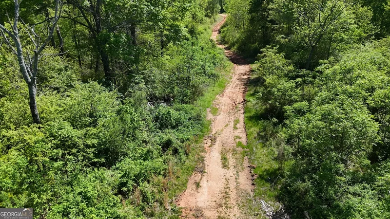 0 Us 53 Highway, Bogart, GA 30622, Bogart, Georgia, United States. - Photo 5