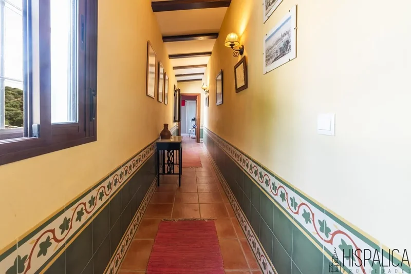 Carretera Peñaflor, 41440, Lora del Río, Sevilla, Lora del Río, Penaflor, Andalusia, Spain. - Photo 45