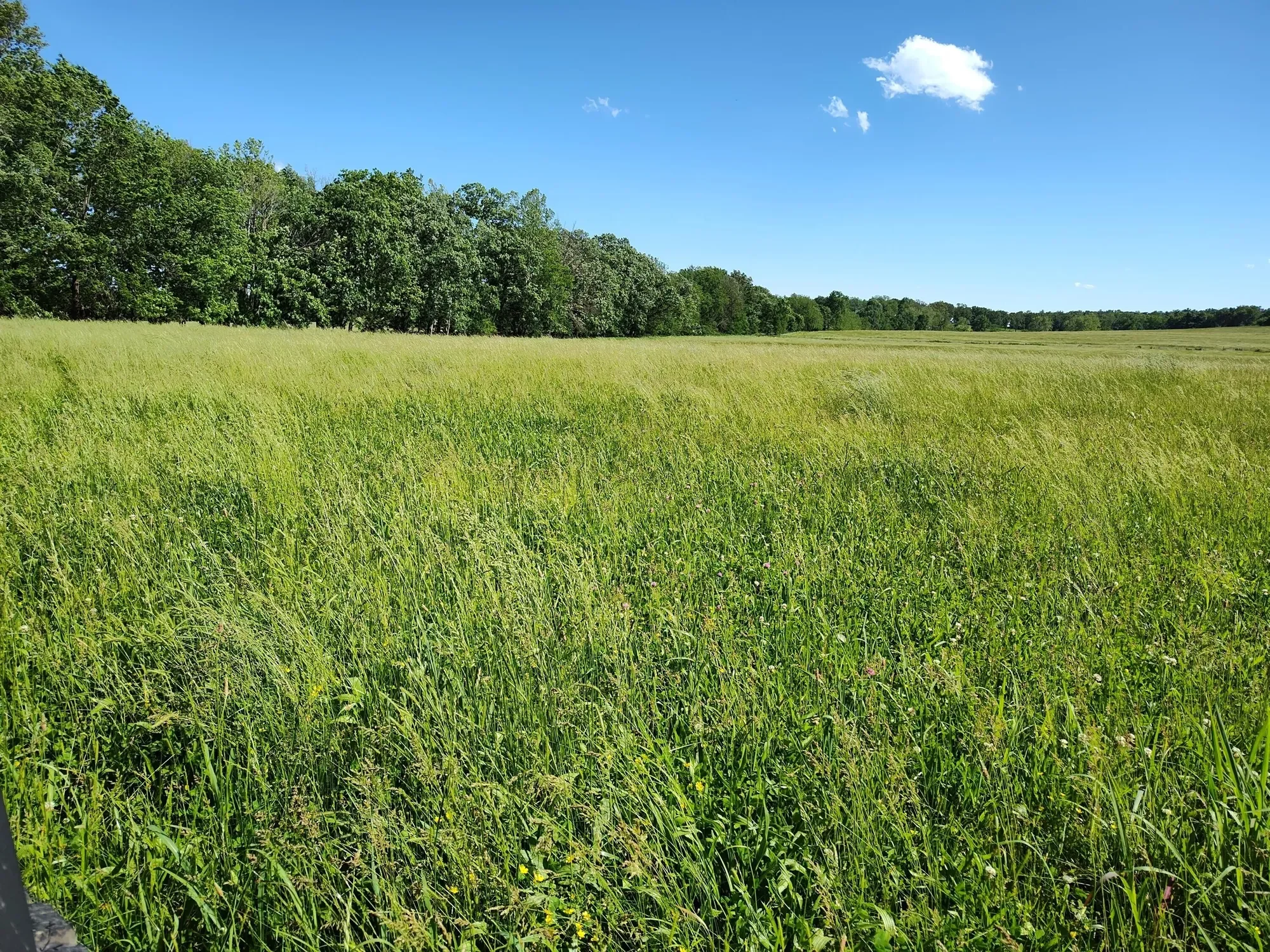 1898 E 332nd Road, Polk, MO 65727, Bolivar, Missouri, United States. - Photo 76