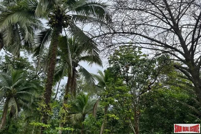 Phang Nga,, Thai Mueang, Phang-nga, Thailand. - Photo 14
