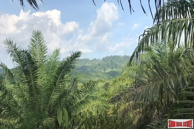 Phang Nga,, Tham, Phang-nga, Thailand. - Photo 2