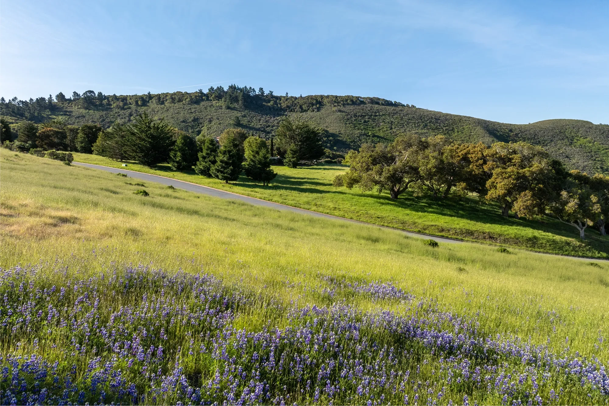 25825 Via Malpaso (Lot 68), Carmel, CA 93923, Carmel-by-the-Sea, California, United States. - Photo 6