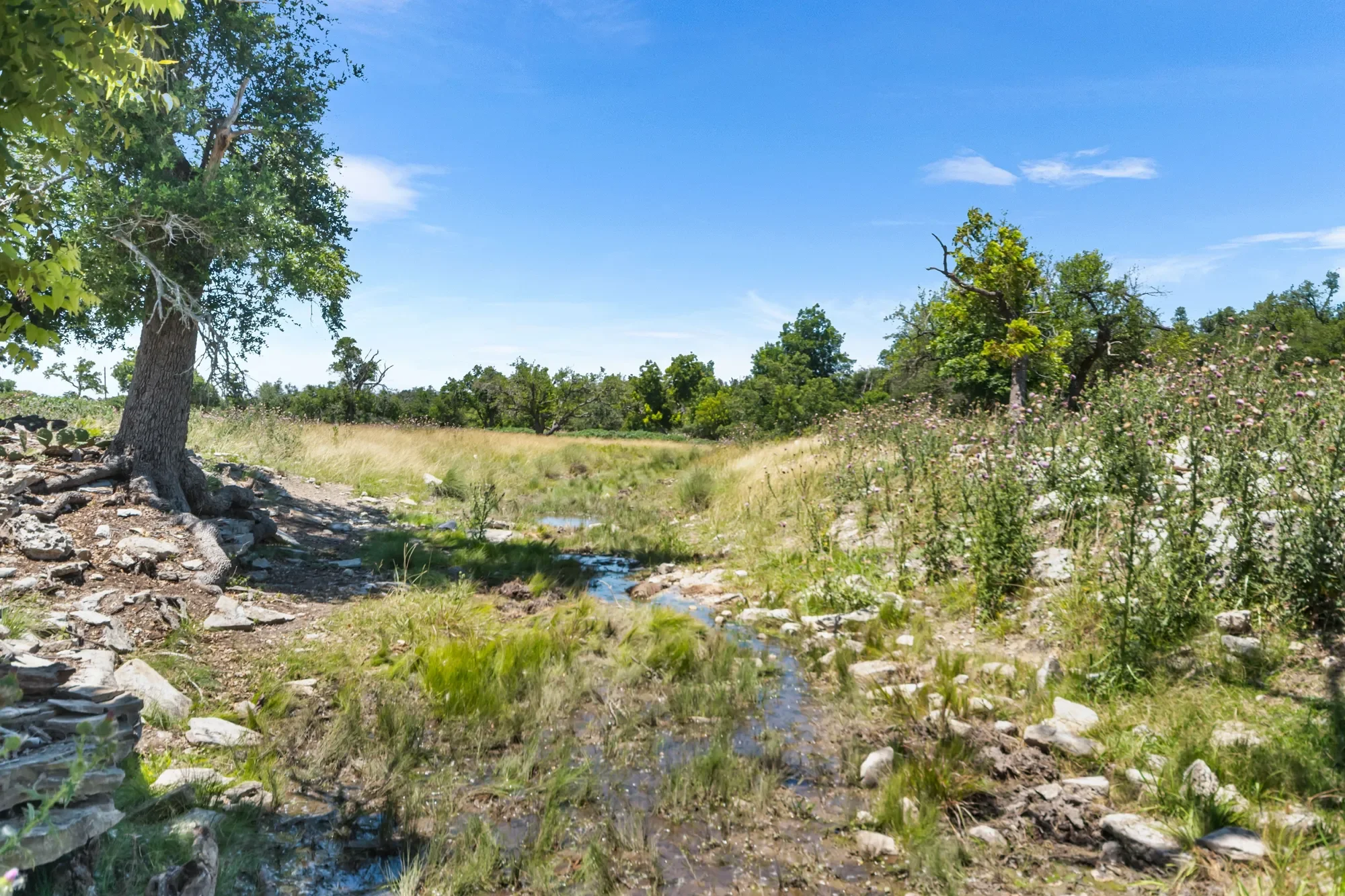 4369 Reeh-Weinheimer Road , Fredericksburg, TX 78624, Fredericksburg, Texas, United States. - Photo 49
