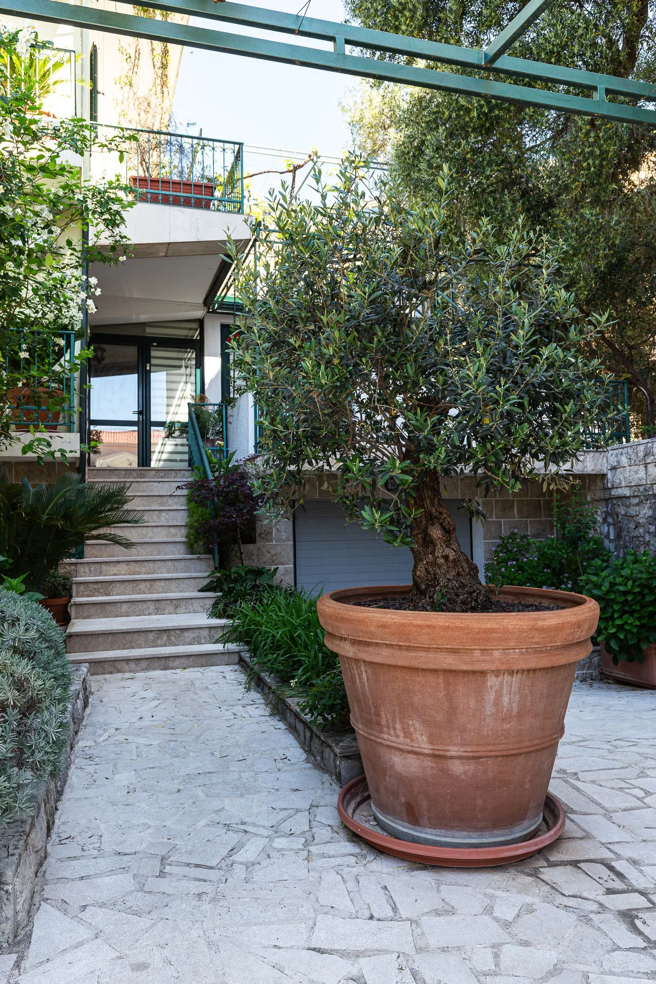 Gallery photo 8