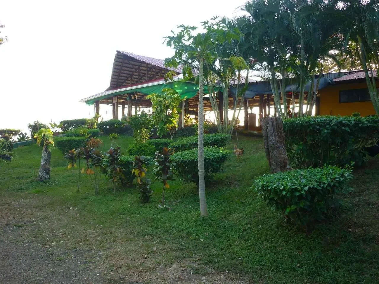 Guanacaste Province, Santa Cruz, Costa Rica, Santa Cruz, Guanacaste Province, Costa Rica. - Photo 8