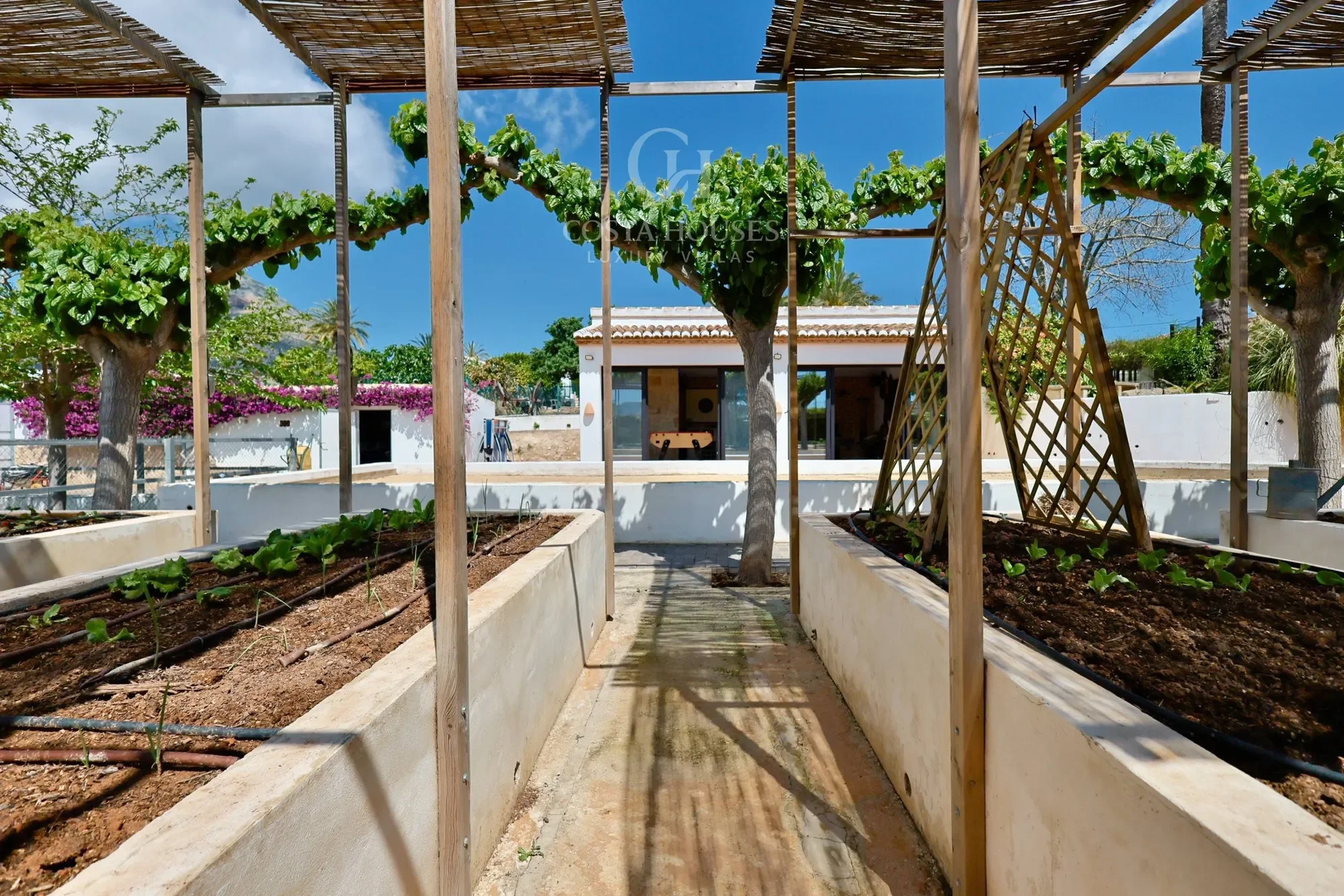 Montgo - Colomer, Jávea - Xàbia, ALICANTE, Jávea - Xàbia, Xabia / Javea, Valencian Community, Spain. - Photo 15
