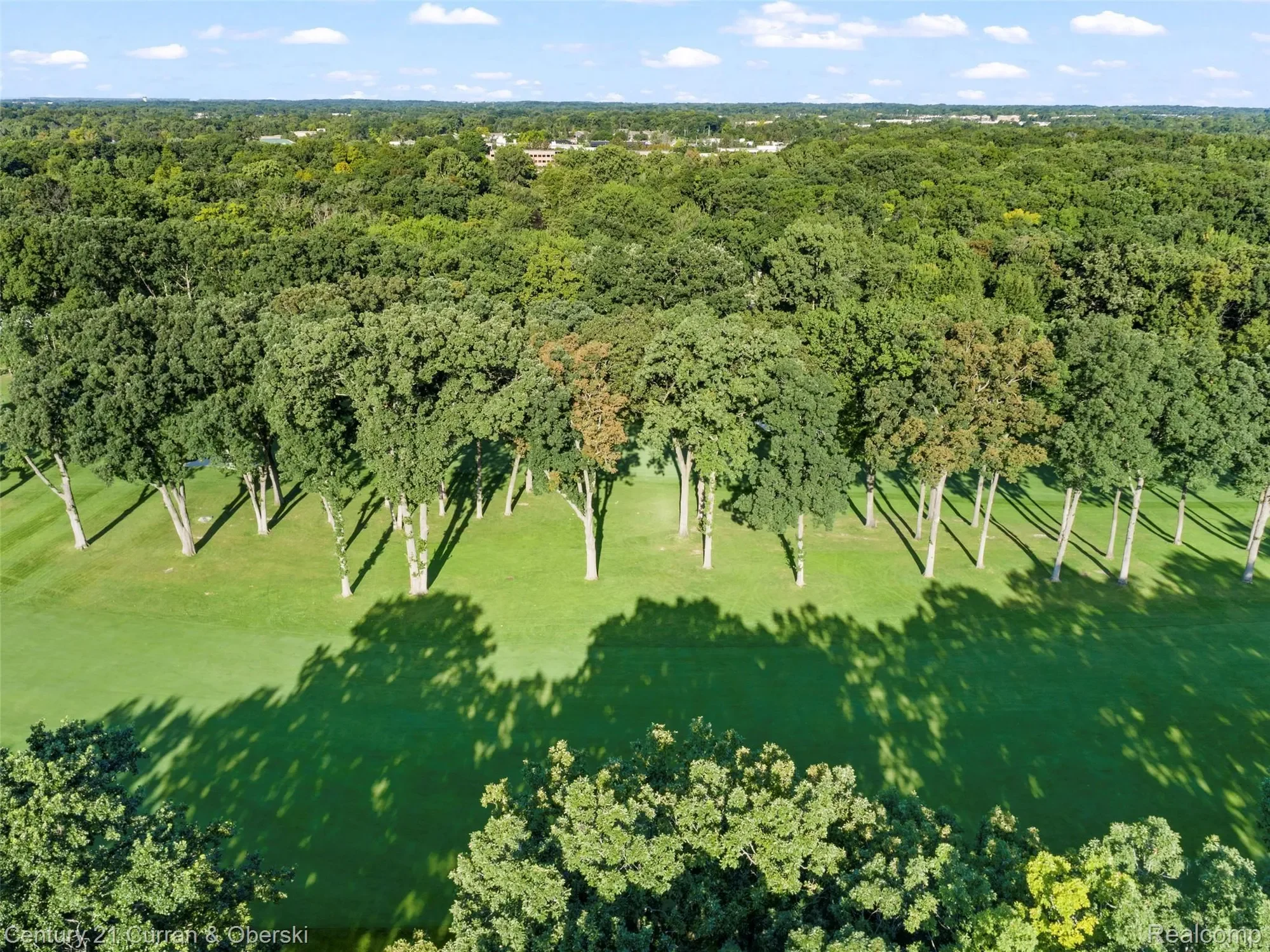 31685 Franklin Fairway Street, Farmington, MI 48334, Farmington Hills, Michigan, United States. - Photo 6