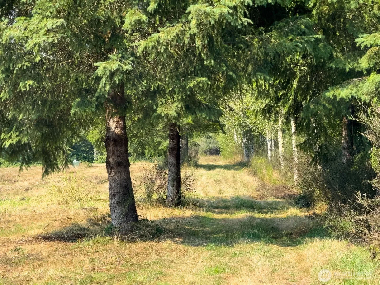 104 Bills Lane, Onalaska, WA 98570, Onalaska, Washington, United States. - Photo 36