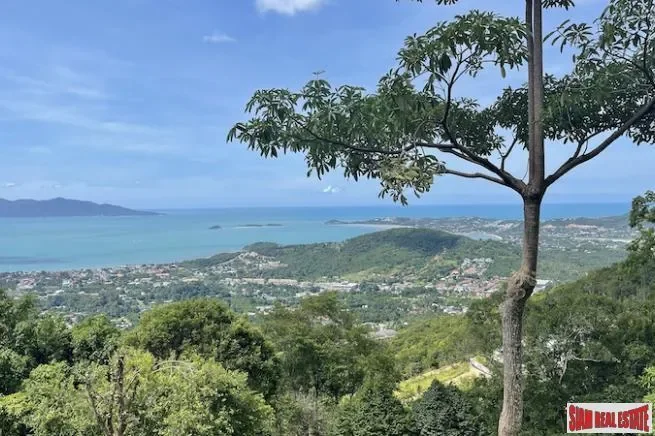 Surat Thani,, Surat Thani, Surat Thani, Thailand. - Photo 2