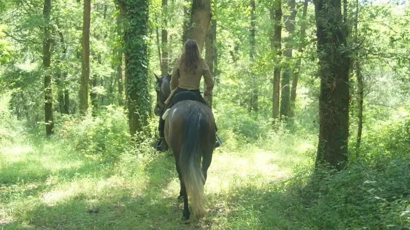 Séailles, Séailles, Séailles, Occitanie, France. - Photo 41