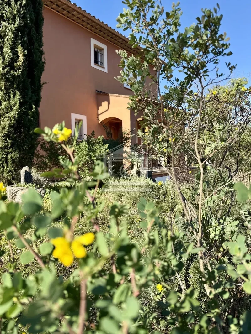Fayence, Provence-Alpes-Côte d'Azur, France. - Photo 23