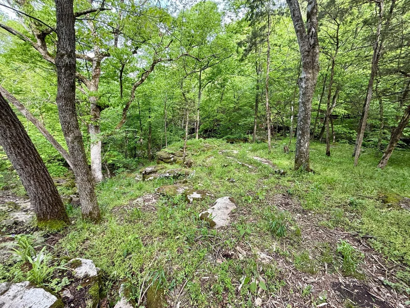 143 Horton Road, Rocky Comfort, MO 64861, Rocky Comfort, Missouri, United States. - Photo 40