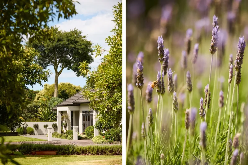 258E Beach Road, Katikati 3178, New Zealand, Katikati, Bay of Plenty, New Zealand. - Photo 4