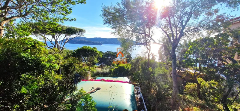 Hyères, Provence-Alpes-Côte d'Azur, France. - Photo 30