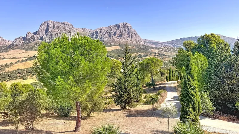 29180 Riogordo, Málaga, Spain, Riogordo, Andalusia, Spain. - Photo 58