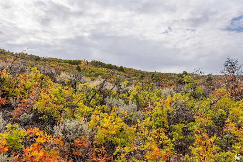 1878 S Remuda Run Ct, Heber City, UT 84032, Heber City, Utah, United States. - Photo 17