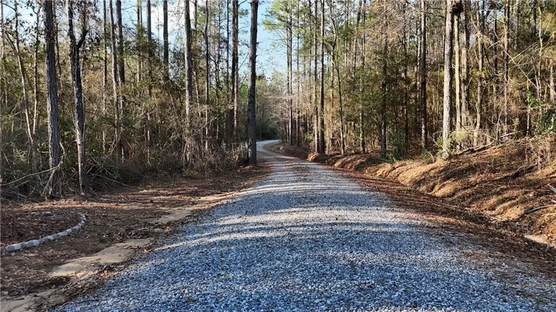 1773 RIDGE Road, Perkinston, MS 39573, Carriere, Mississippi, United States. - Photo 45