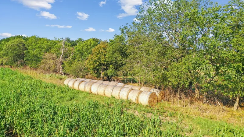 2296 County Road 290, Dublin, TX 76446, Dublin, Texas, United States. - Photo 31