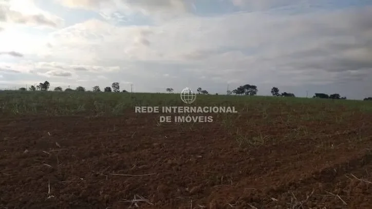 Excellent Industrial / Residential area in Cajuru area with 1,300,000.