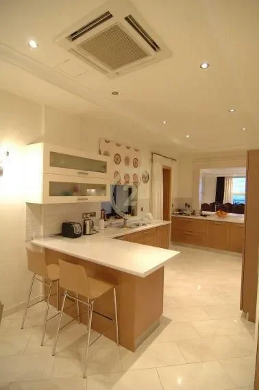 Gallery photo 12