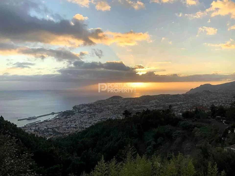 Funchal, Madeira, Funchal, Se, Madeira, Portugal. - Photo 2