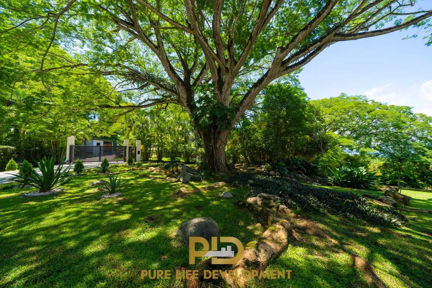 Alajuela Province, Atenas, Costa Rica, Atenas, Alajuela Province, Costa Rica. - Photo 19