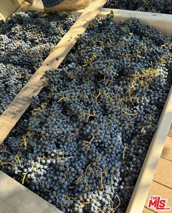 351 Wall Road, Napa, California, United States. - Photo 55