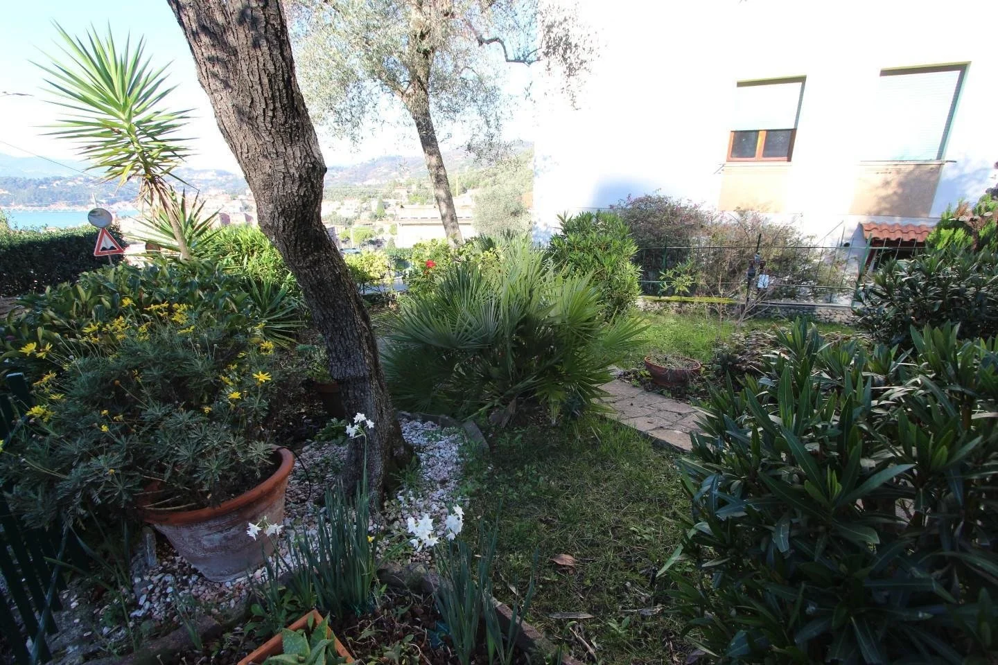 Exterior photo 10