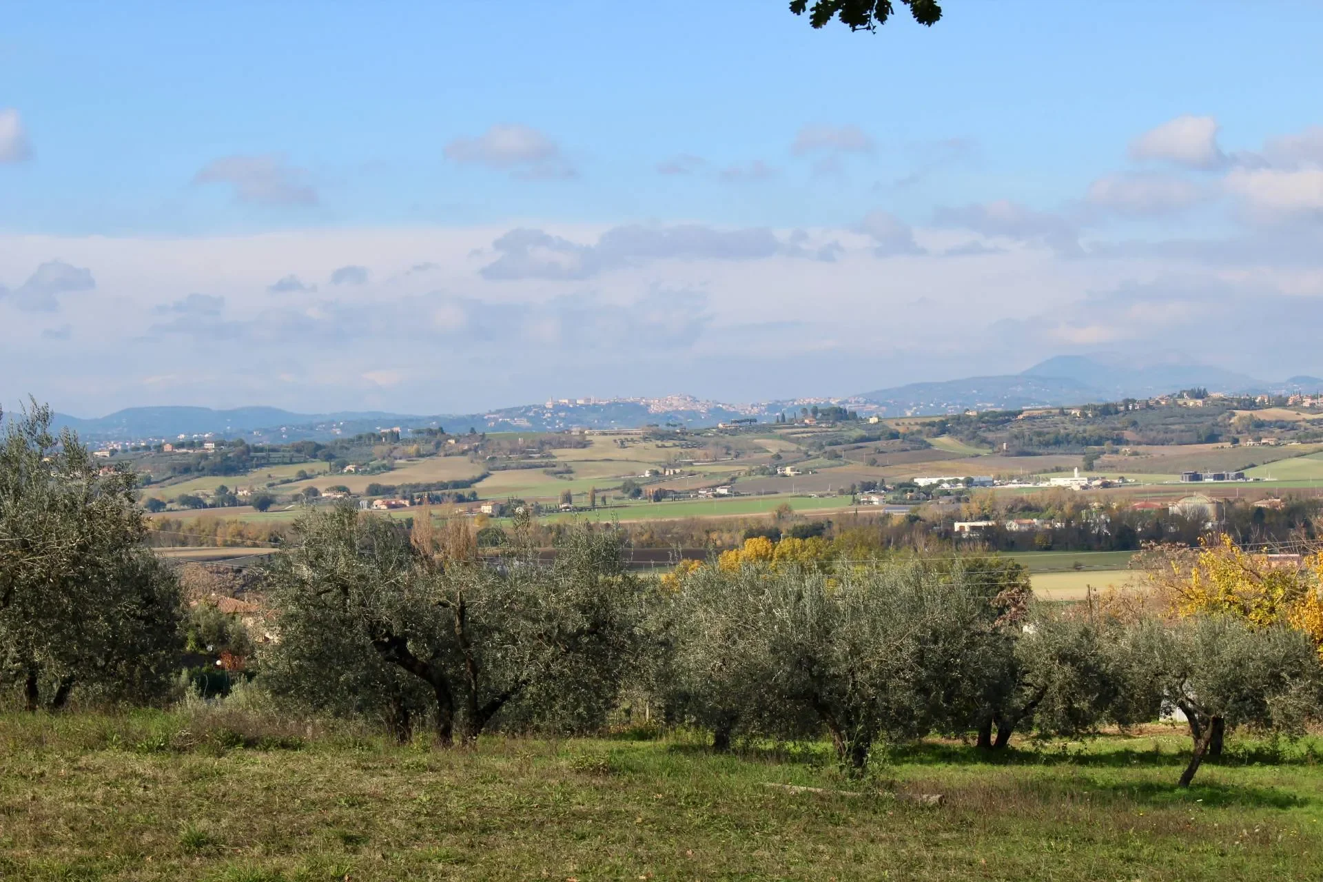 palazzetta, Umbria, Italy. - Photo 23