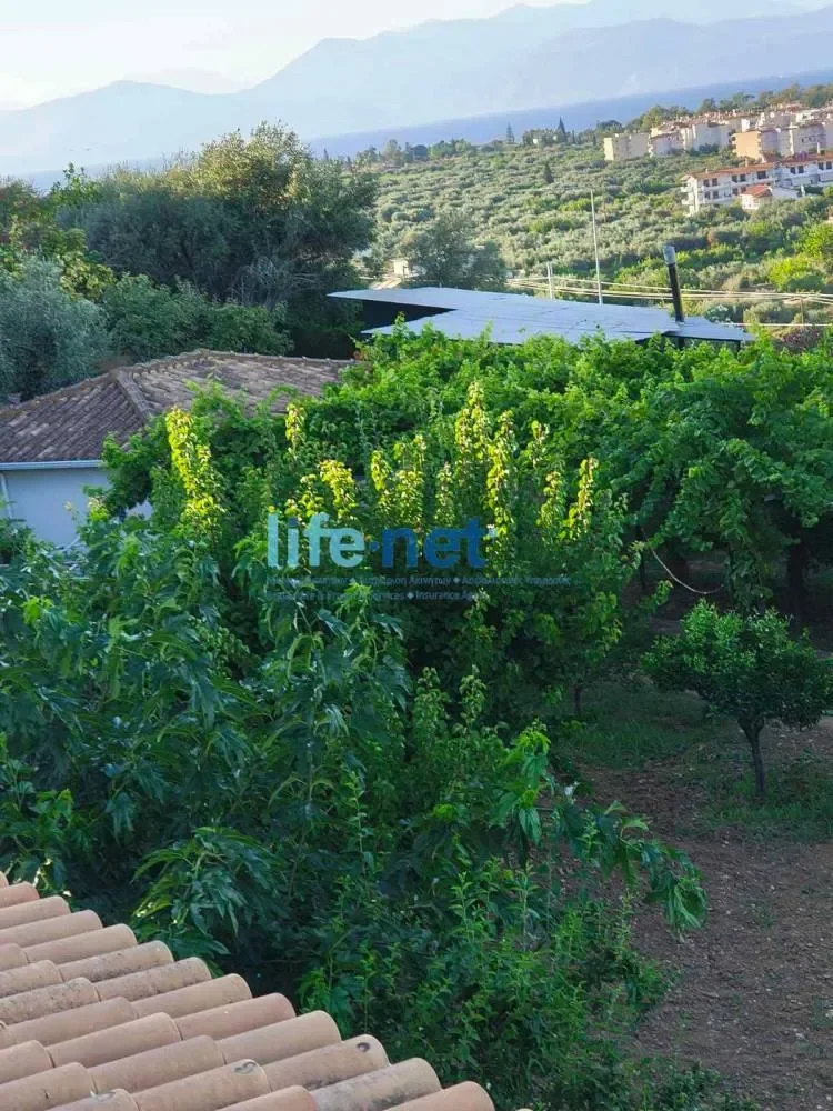 Akratas, Peloponnese, Western Greece and the Ionian, Greece. - Photo 17