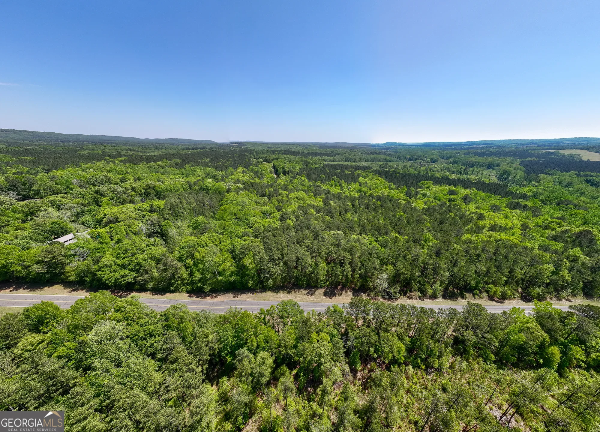 Shiloh, Georgia, United States. - Photo 19