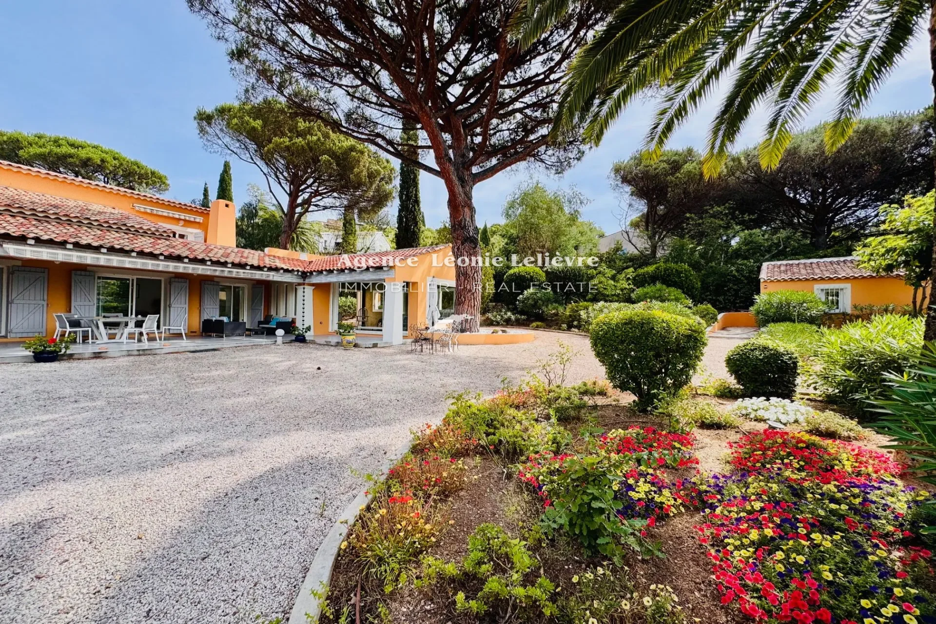 Roquebrune-sur-Argens, Provence-Alpes-Côte d'Azur, France. - Photo 5
