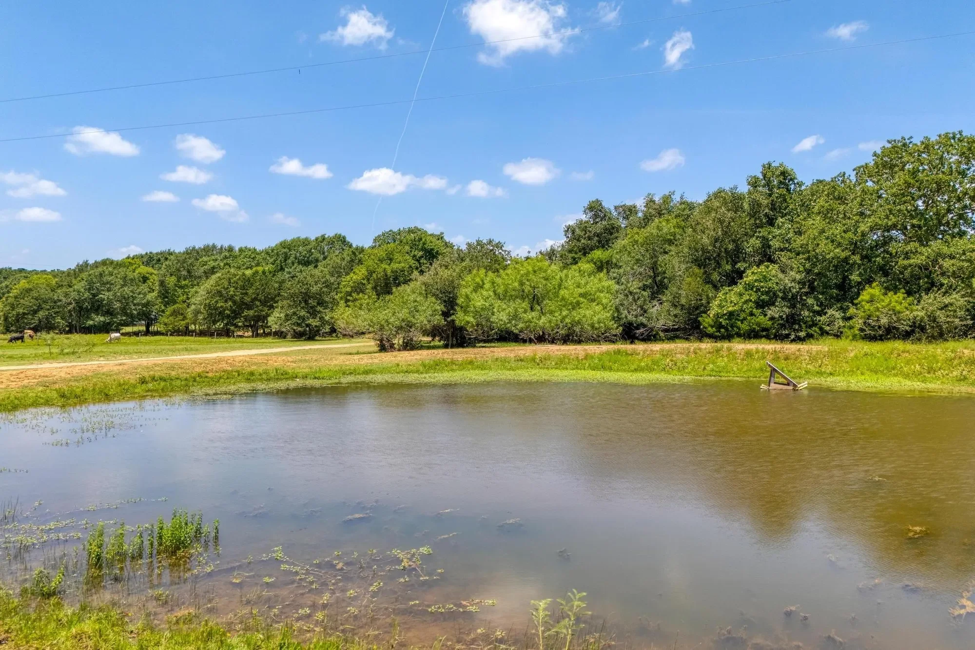 1922 E SH 21, Paige, Texas, United States. - Photo 28